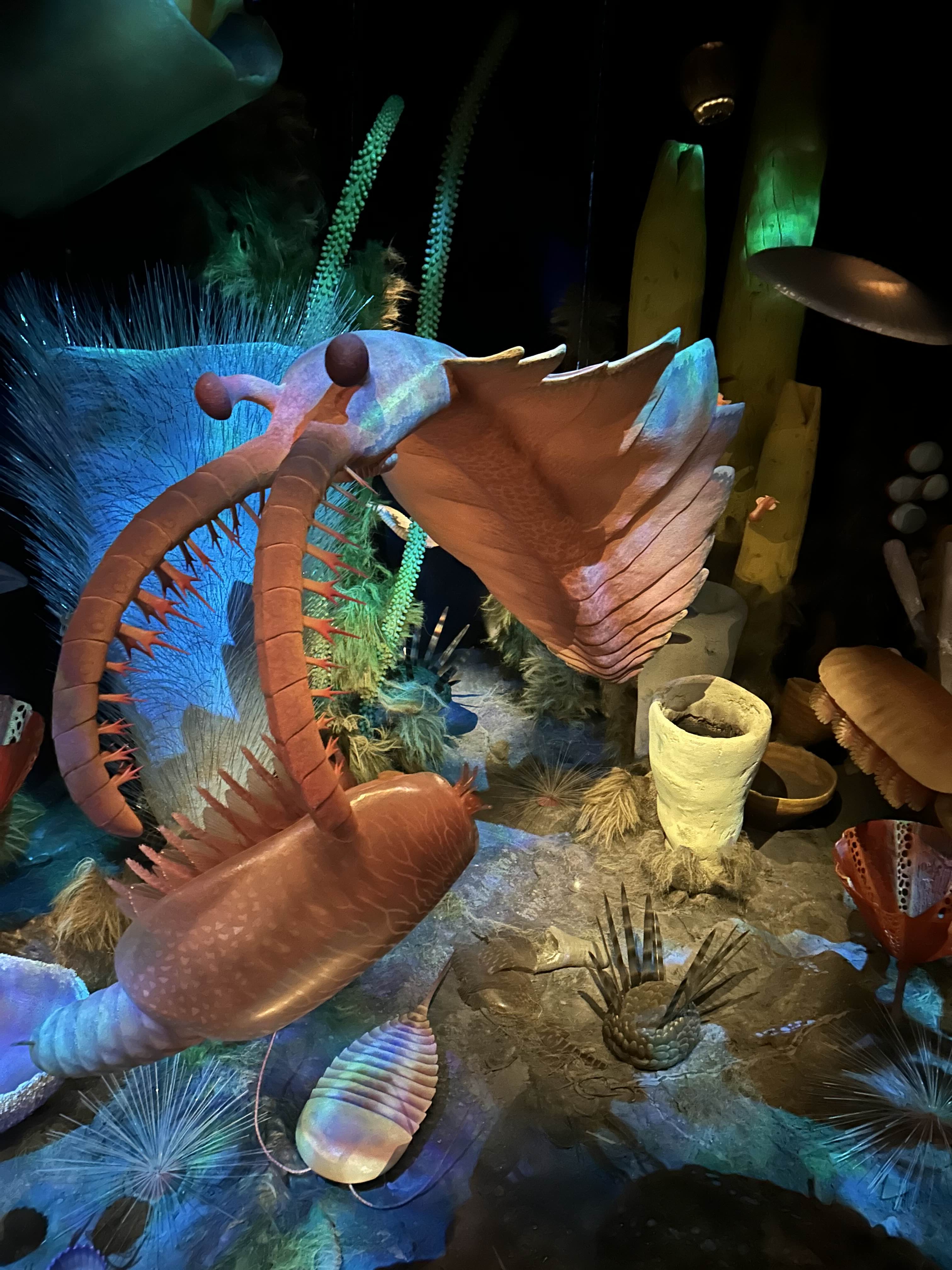 a picture of the "Cambrian Explosion" exhibit at the Royal Tyrell Museum in Alberta. A large model of anomalocaris canadensis is about to eat a prey animal.